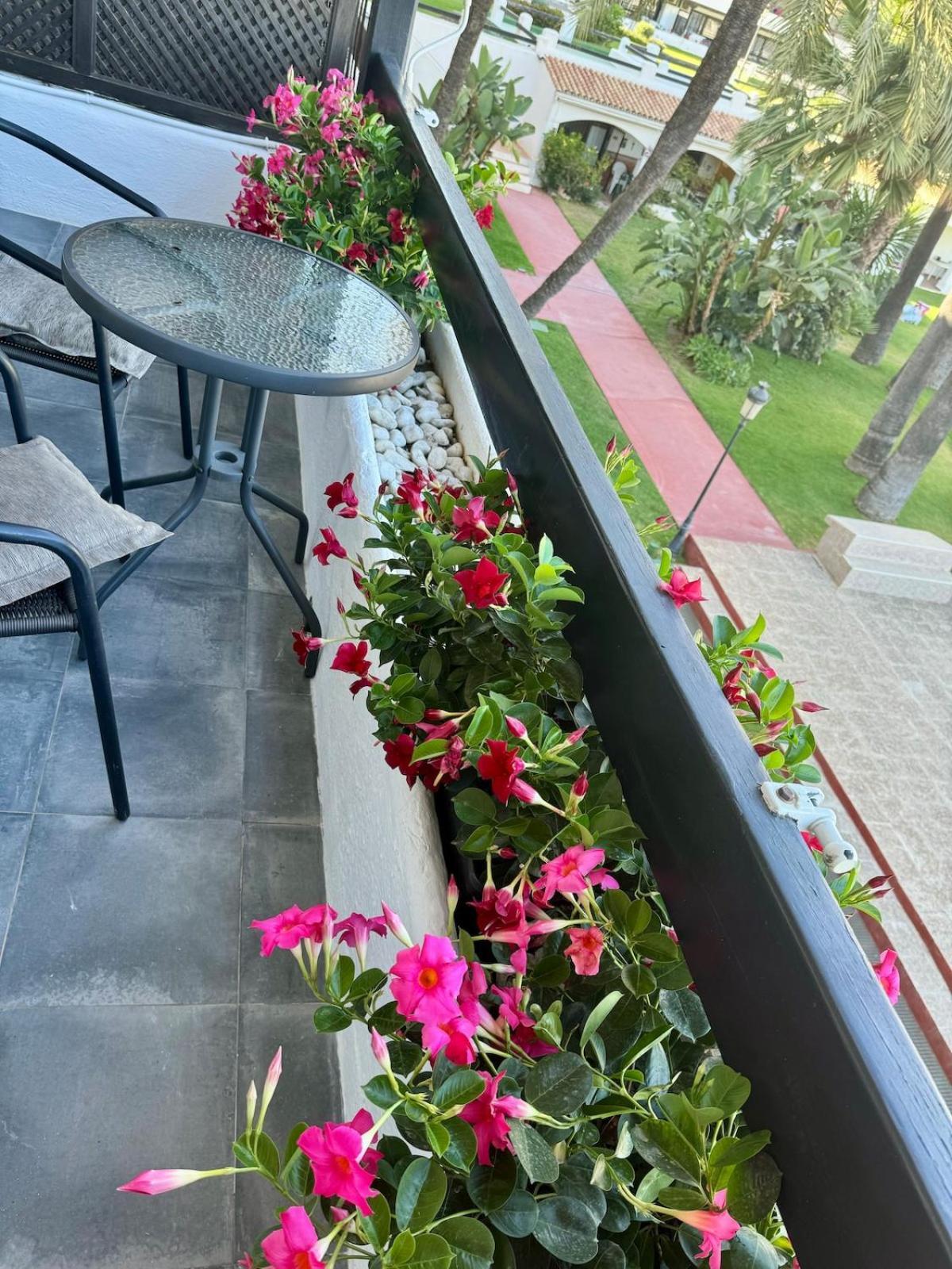 Appartement La Carolina Pool View Marbella